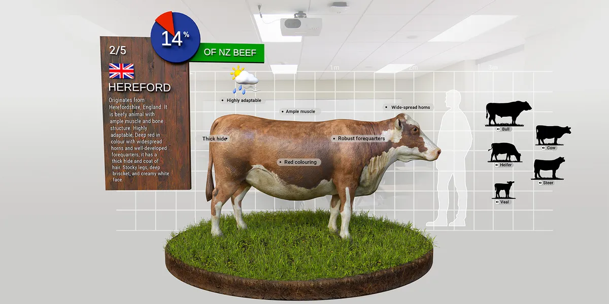 Revolutionising butchery training